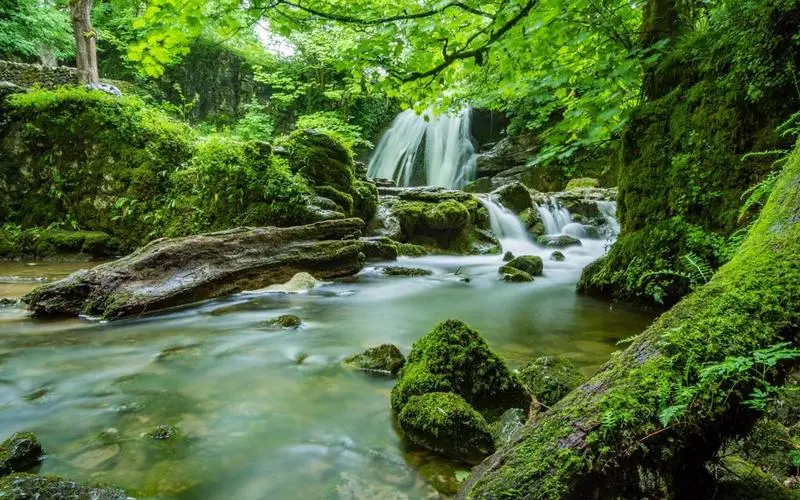 智能系统高效电子